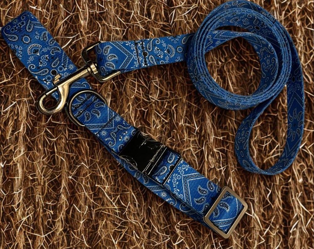 BLUE BANDANA COLLAR LEASH SET